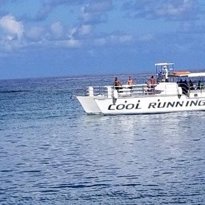 Meet your Posher, Ivlylin